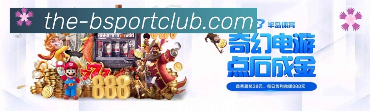 未来规划